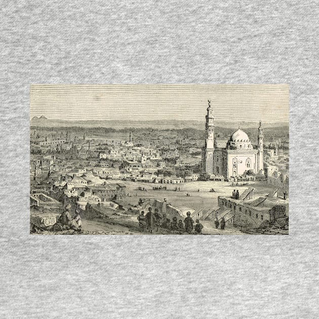 Engraving of Capital City Cairo 1881 by artfromthepast